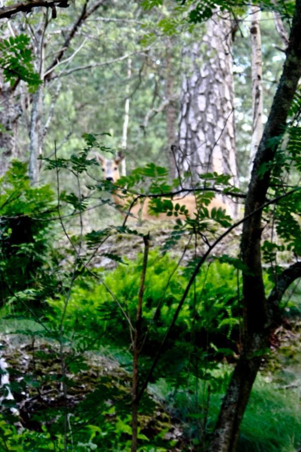 Bed&Breakfast In Nature 12 Min From City Free Bikes Stockholm Exterior photo